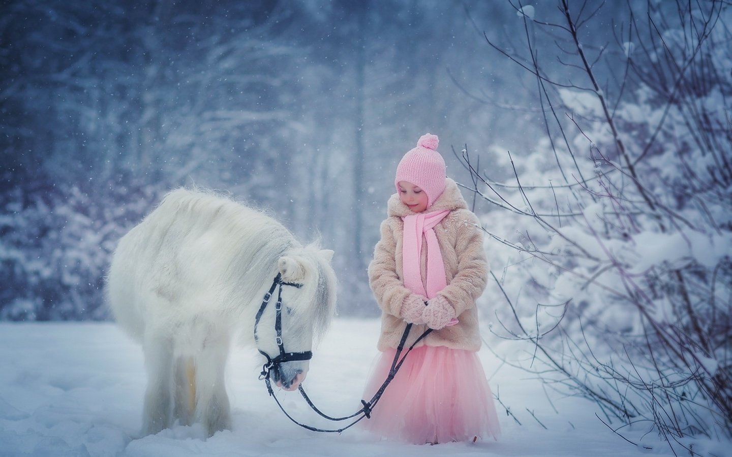 Обои зима, девочка, ребенок, пони, анна петрова, winter, girl, child, pony, anna petrova разрешение 1920x1200 Загрузить