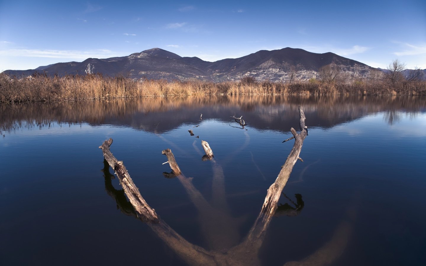 Обои небо, озеро, горы, природа, дерево, пейзаж, горизонт, горный хребет, the sky, lake, mountains, nature, tree, landscape, horizon, mountain range разрешение 2007x1307 Загрузить