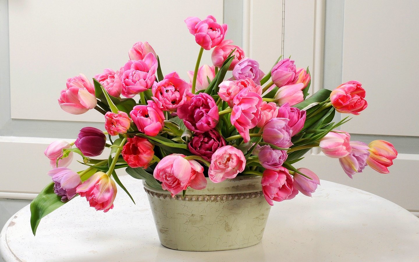 Обои цветы, букет, тюльпаны, flowers, bouquet, tulips разрешение 2880x1800 Загрузить