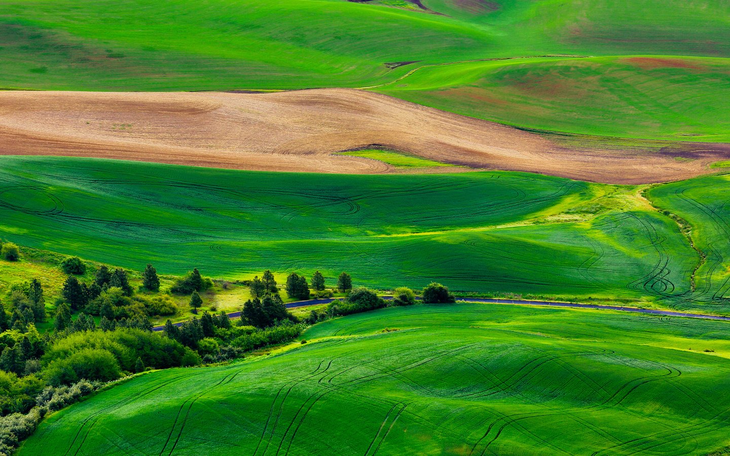 Обои трава, деревья, холмы, пейзаж, поля, grass, trees, hills, landscape, field разрешение 2880x1920 Загрузить