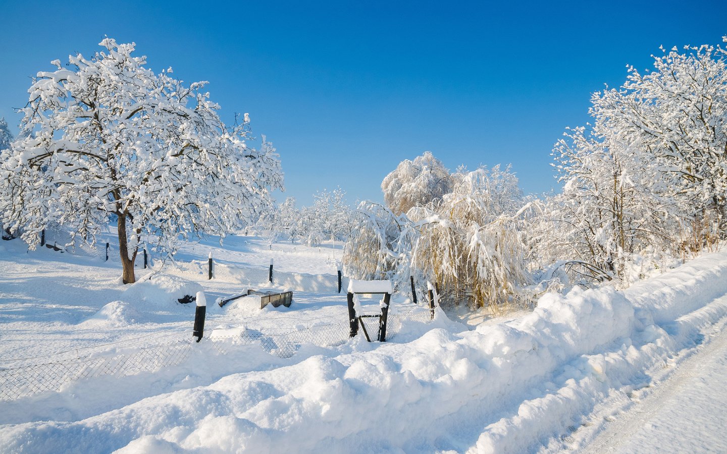 Обои небо, деревья, снег, природа, зима, сугробы, matej paluh, the sky, trees, snow, nature, winter, the snow разрешение 1920x1200 Загрузить