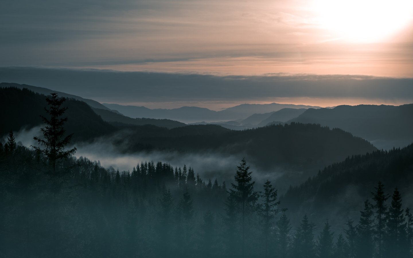 Обои деревья, горы, лес, пейзаж, туман, норвегия, trees, mountains, forest, landscape, fog, norway разрешение 4903x3369 Загрузить