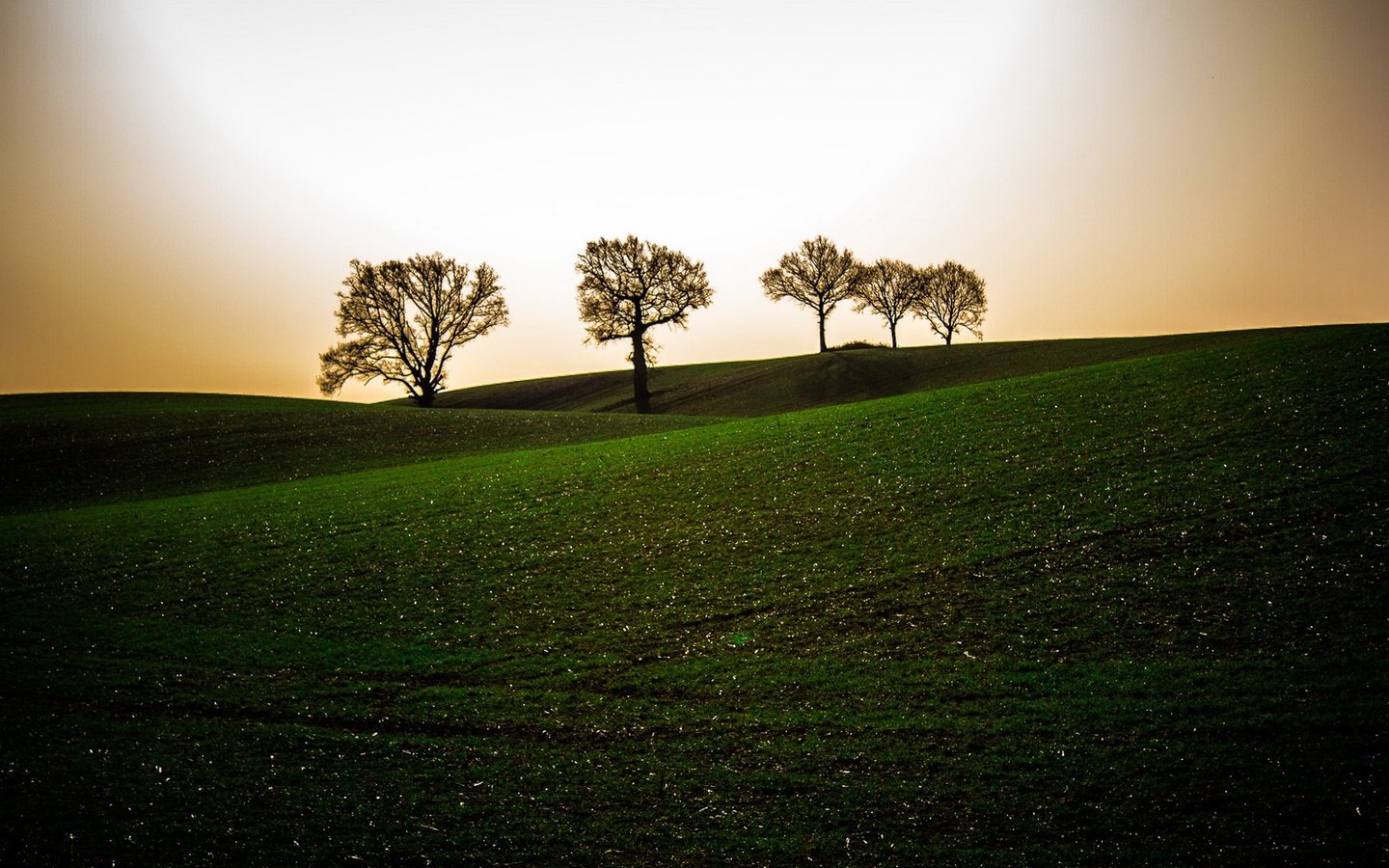 Обои небо, деревья, вечер, холмы, поле, the sky, trees, the evening, hills, field разрешение 1920x1080 Загрузить