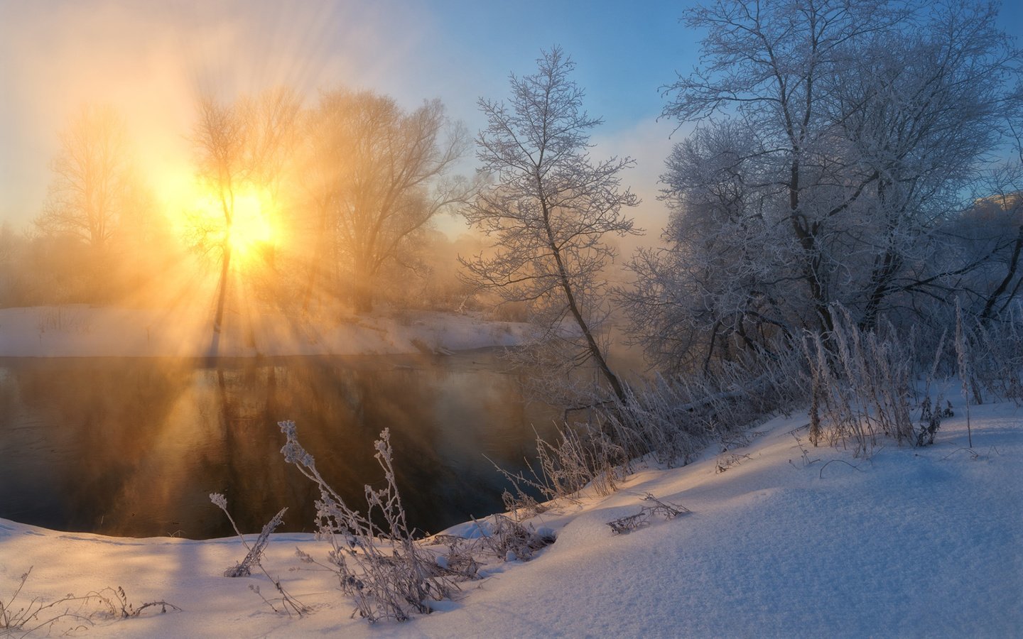 Обои солнце, снег, природа, лес, зима, утро, zhmak evgeniy, the sun, snow, nature, forest, winter, morning разрешение 1920x1200 Загрузить