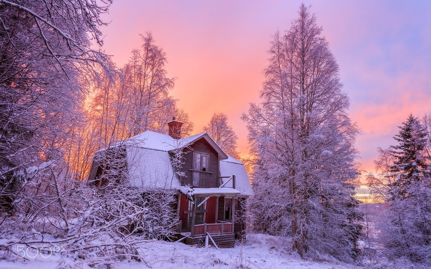 Обои деревья, снег, природа, лес, зима, дом, geert weggen, trees, snow, nature, forest, winter, house разрешение 1920x1200 Загрузить