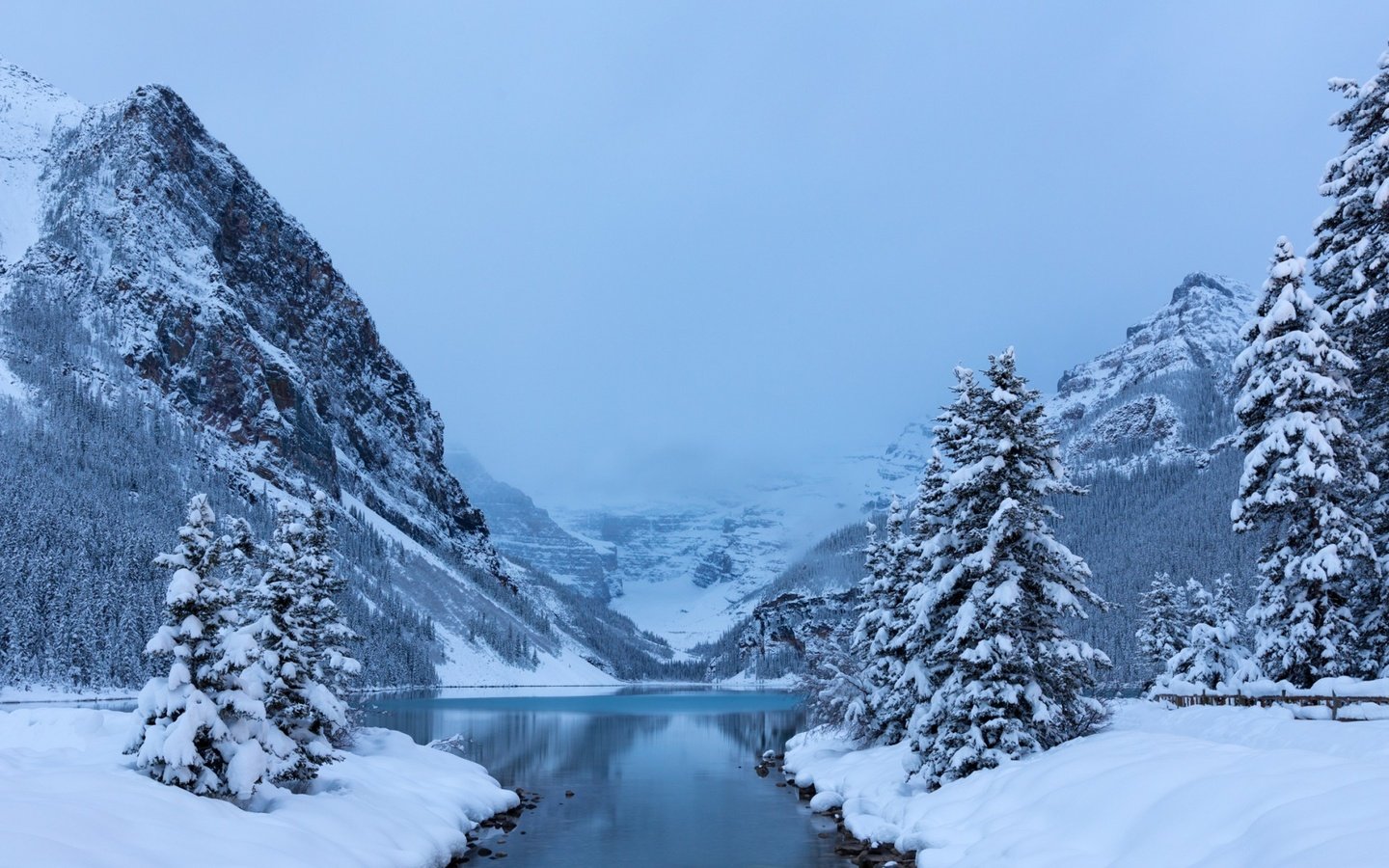 Обои деревья, lake louisebanff, озеро, горы, снег, лес, зима, канада, национальный парк, trees, lake, mountains, snow, forest, winter, canada, national park разрешение 1920x1200 Загрузить