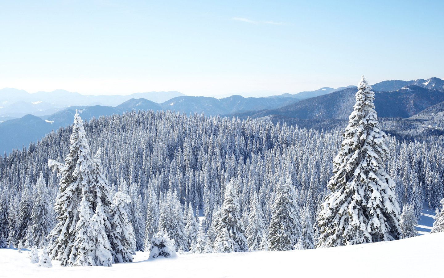 Обои горы, природа, лес, зима, пейзаж, katerina myan, mountains, nature, forest, winter, landscape разрешение 1920x1200 Загрузить