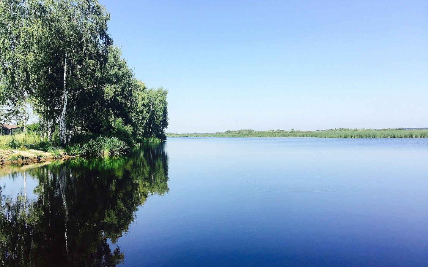 Обои небо, деревья, река, природа, отражение, березы, aristovart, the sky, trees, river, nature, reflection, birch разрешение 3264x2448 Загрузить