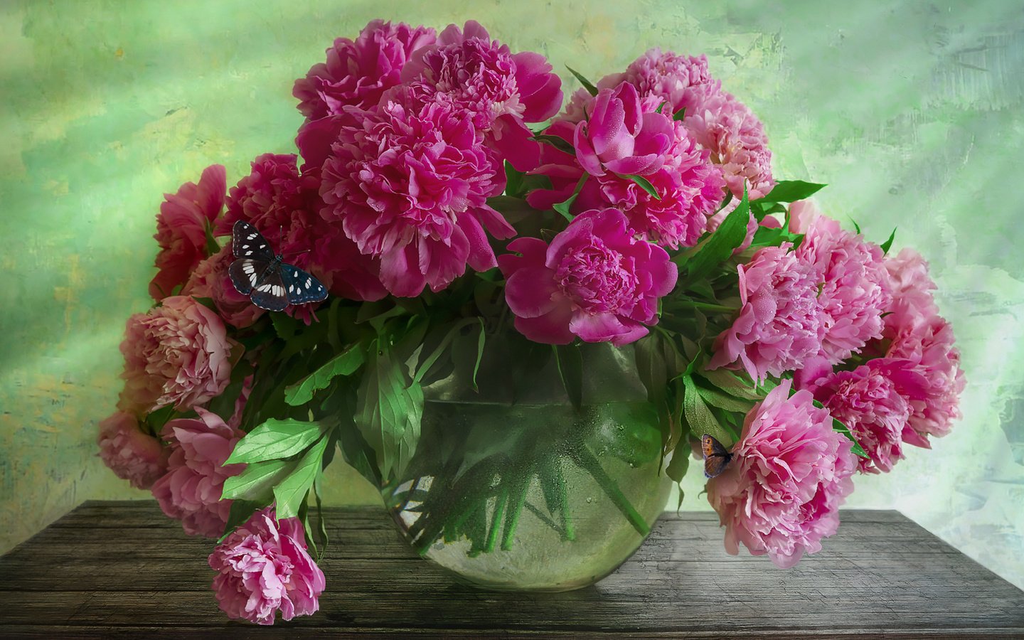 Обои цветы, бабочка, ваза, аквариум, столик, пионы, flowers, butterfly, vase, aquarium, table, peonies разрешение 1920x1281 Загрузить