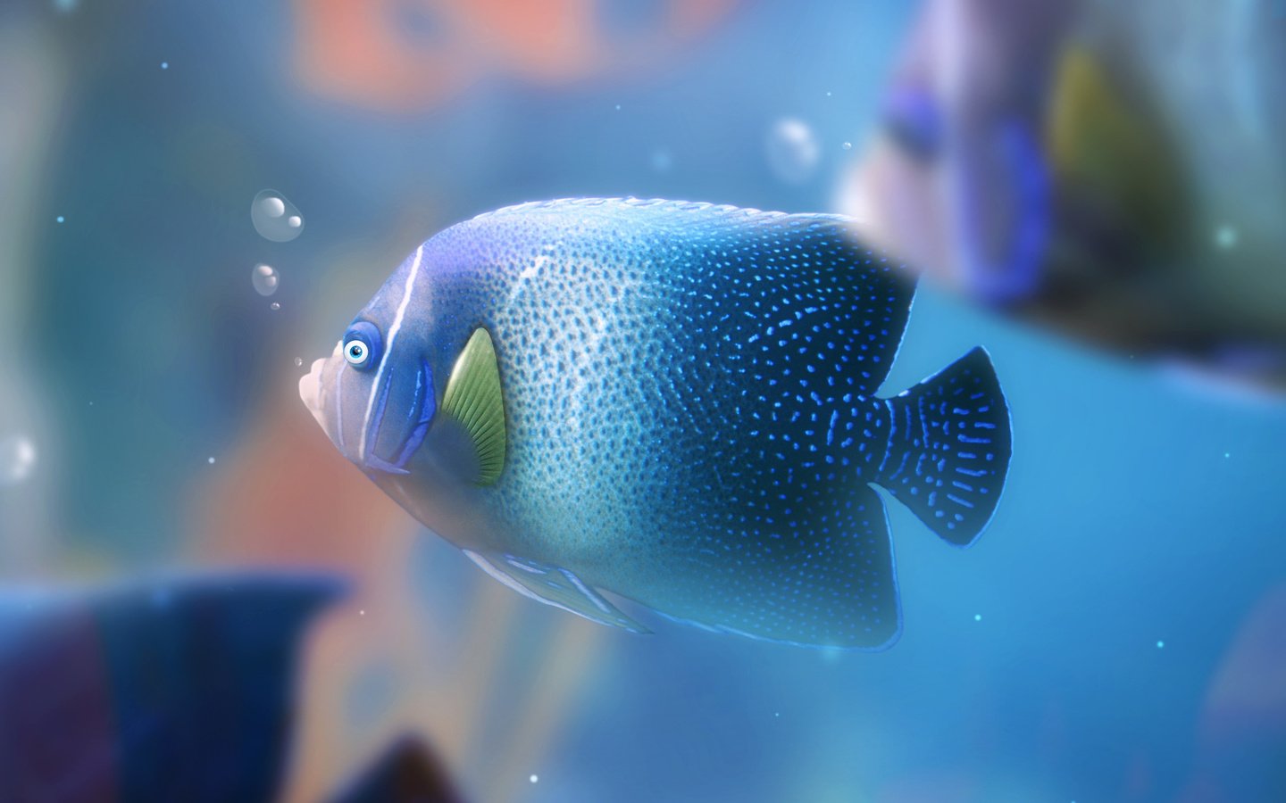 Обои пузыри, аквариум, рыба, bubbles, aquarium, fish разрешение 2560x1440 Загрузить