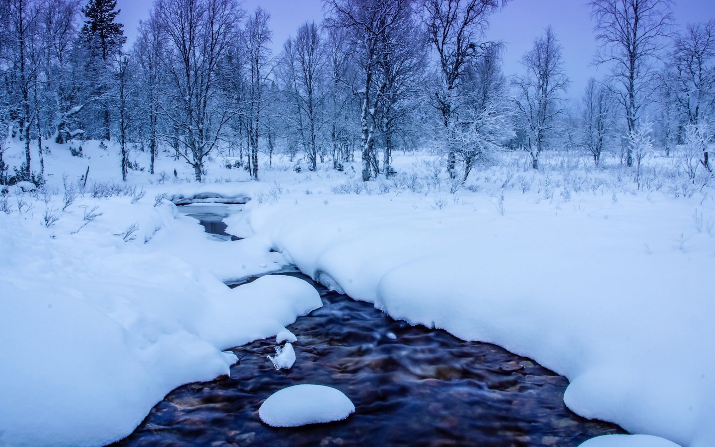 Обои деревья, река, снег, природа, лес, зима, trees, river, snow, nature, forest, winter разрешение 1920x1200 Загрузить