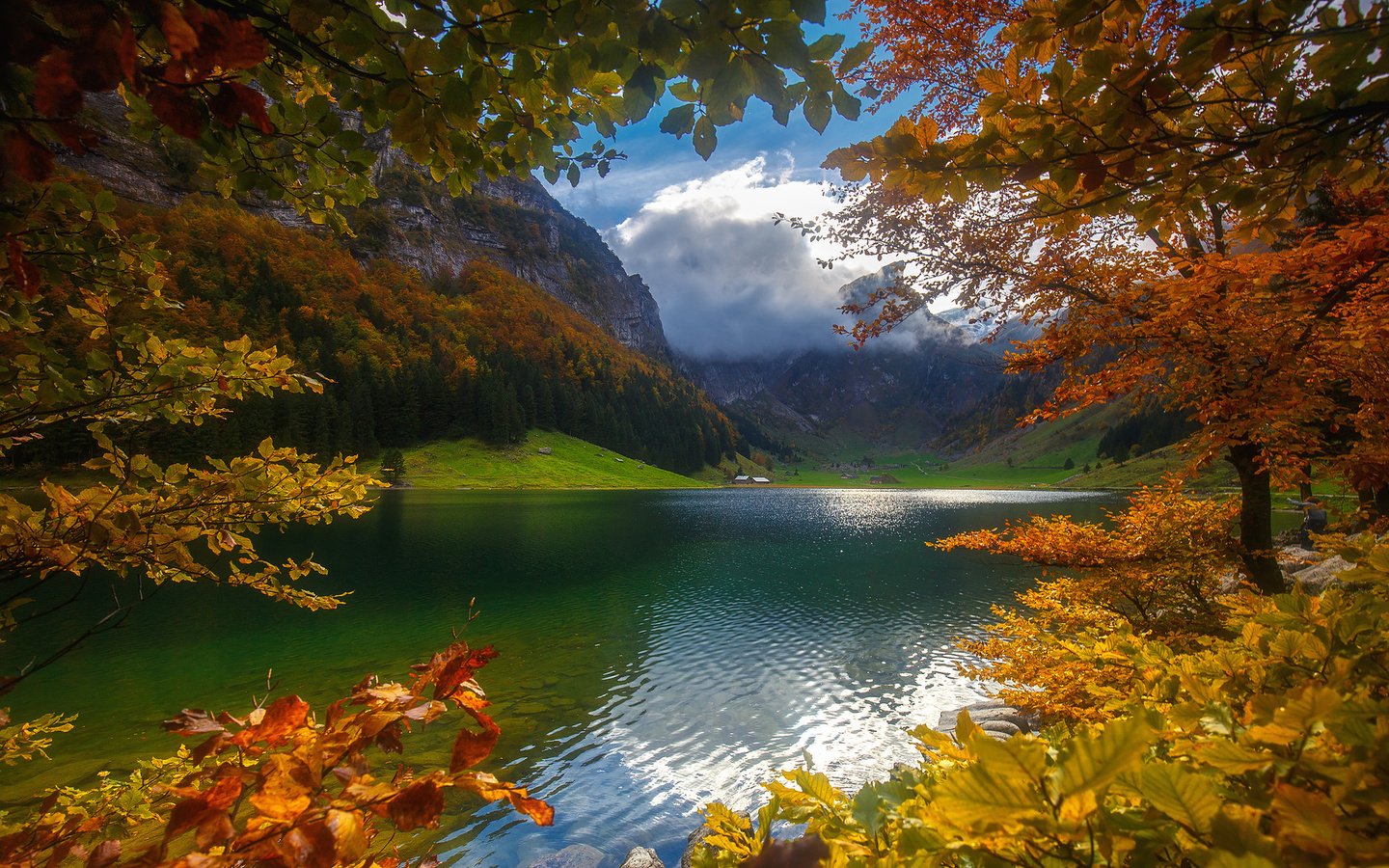 Обои небо, облака, деревья, озеро, горы, лес, осень, the sky, clouds, trees, lake, mountains, forest, autumn разрешение 1920x1200 Загрузить