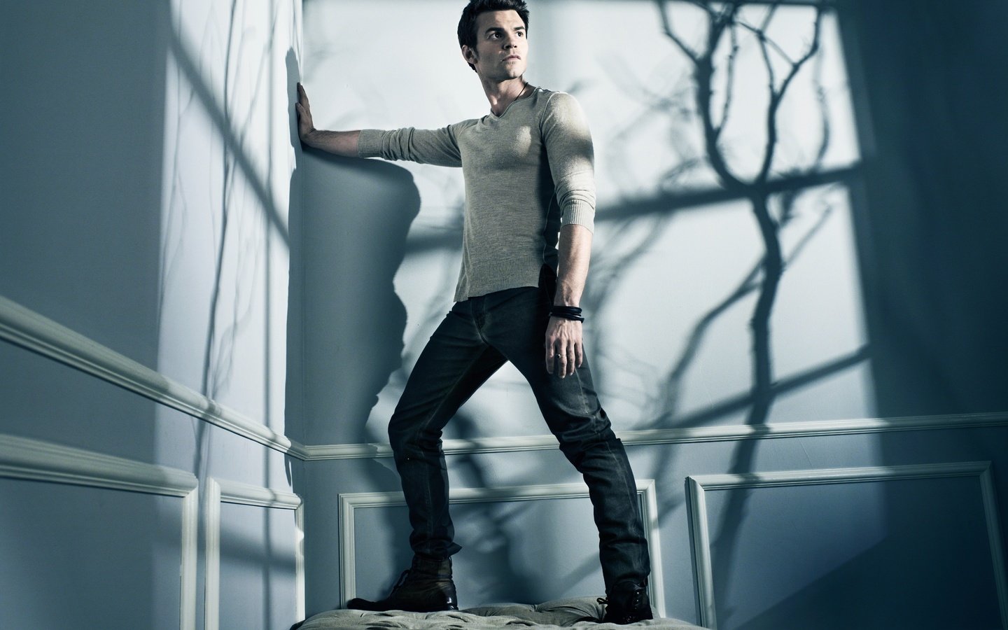 Обои тень, джинсы, мужчина, дэниел гиллис, daniel gillies, shadow, jeans, male, daniel gillis разрешение 8984x6732 Загрузить