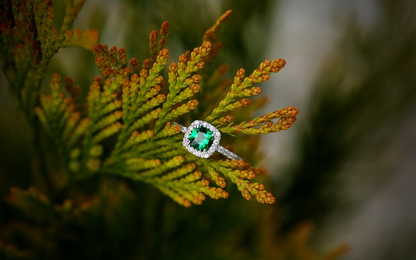 Обои кольцо, украшение, изумруд, ring, decoration, emerald разрешение 5760x3840 Загрузить