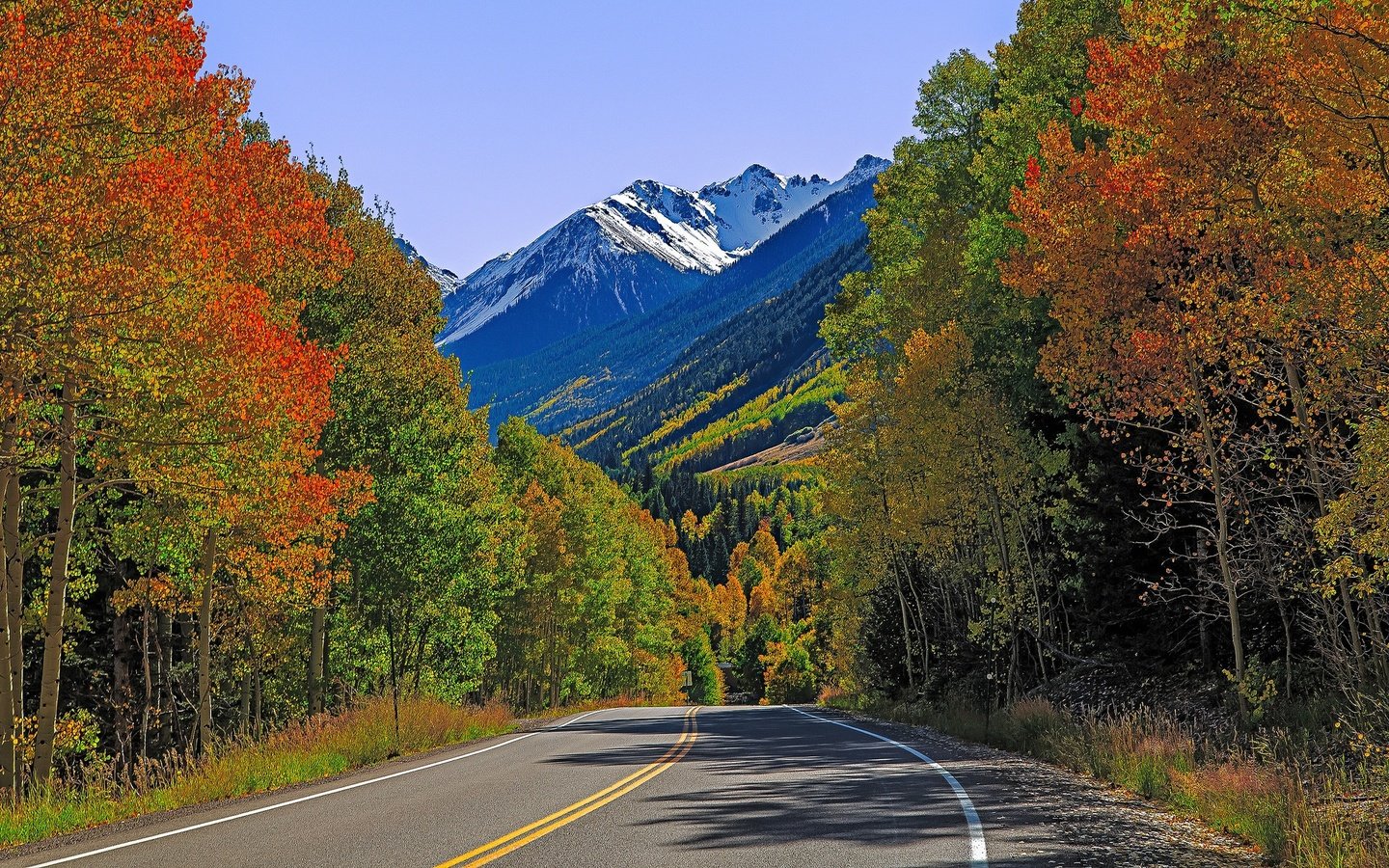 Обои дорога, деревья, горы, осень, сша, колорадо, лайзард хед пасс, road, trees, mountains, autumn, usa, colorado, lizard head pass разрешение 2048x1201 Загрузить