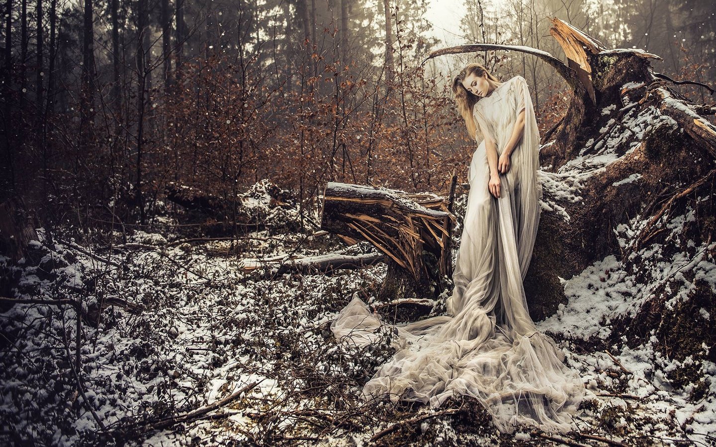 Обои снег, лес, девушка, платье, поза, ситуация, коряга, voodoo wonderland, snow, forest, girl, dress, pose, the situation, snag разрешение 2000x1333 Загрузить