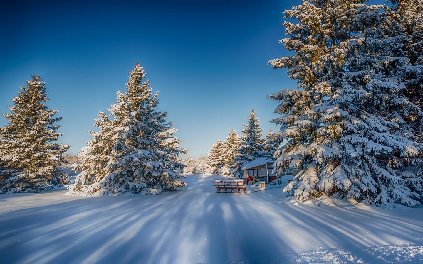 Обои природа, лес, зима, nature, forest, winter разрешение 2880x1800 Загрузить