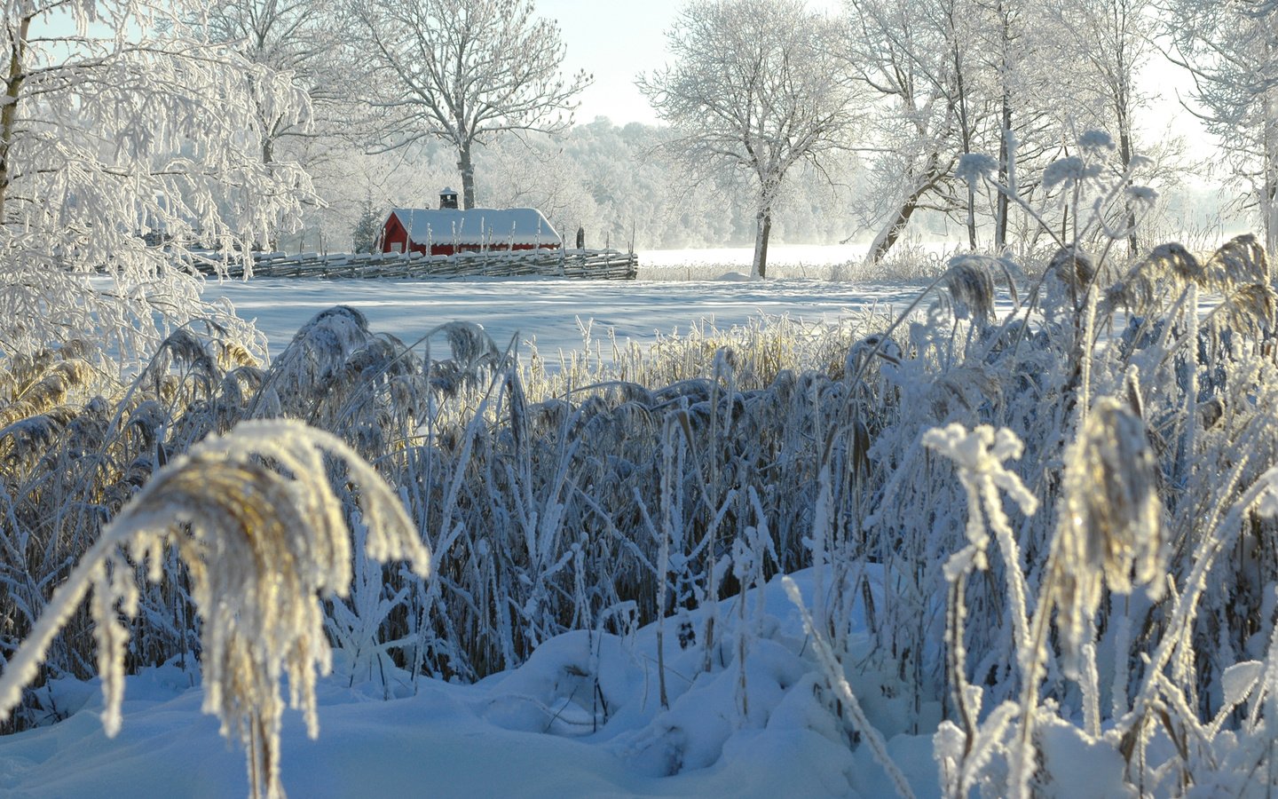 Обои деревья, снег, природа, зима, кусты, иней, деревня, домик, trees, snow, nature, winter, the bushes, frost, village, house разрешение 2880x1800 Загрузить