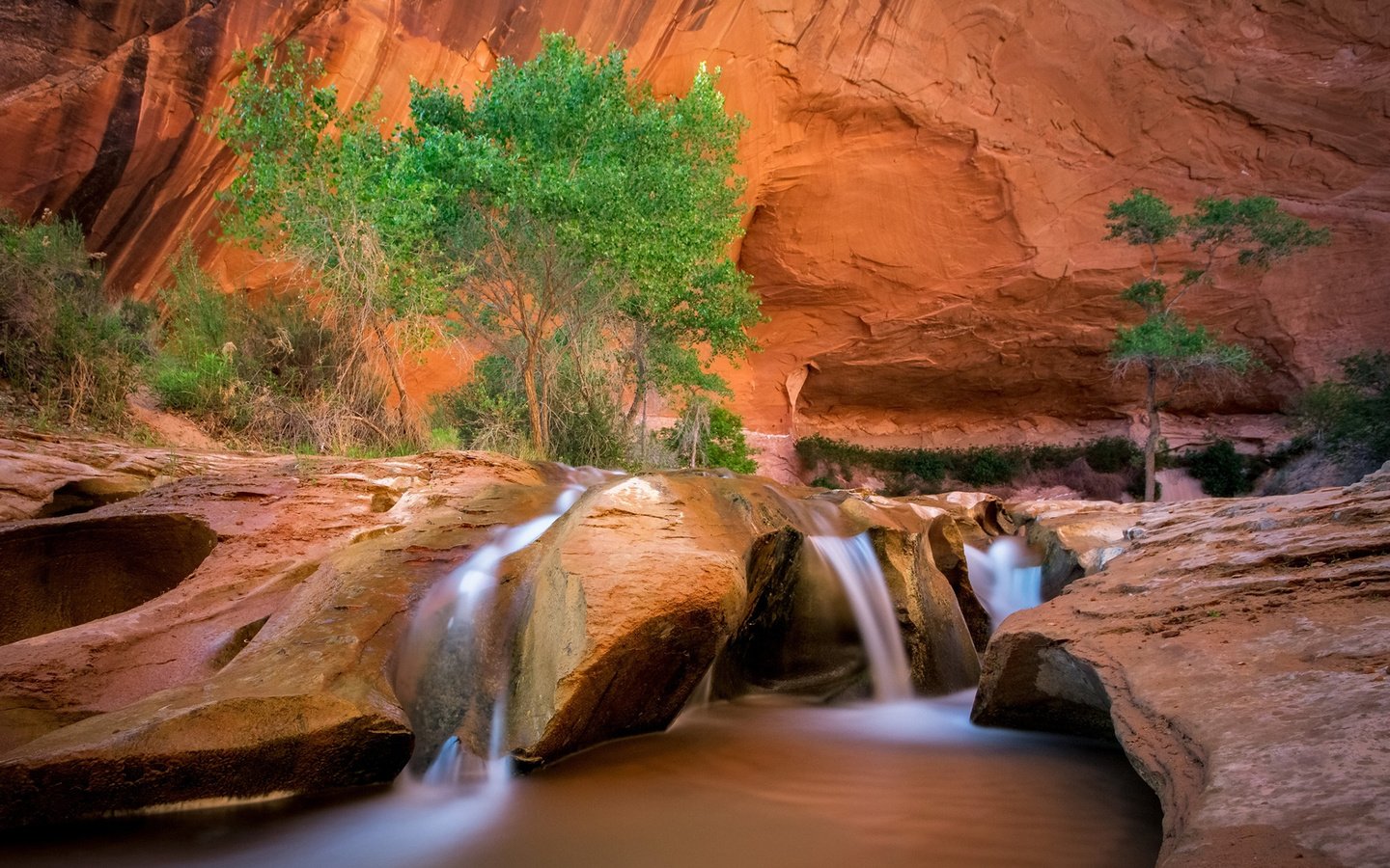 Обои река, скалы, пейзаж, водопад, каньон, david swindler, coyote gulch, эскаланте, river, rocks, landscape, waterfall, canyon, escalante разрешение 1920x1200 Загрузить