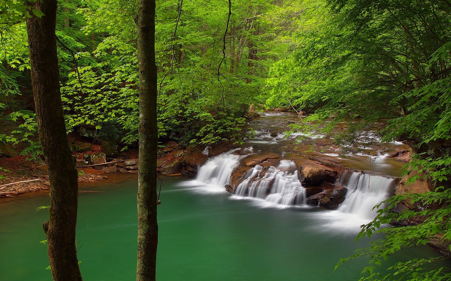 Обои деревья, река, природа, лес, водопад, trees, river, nature, forest, waterfall разрешение 1920x1200 Загрузить