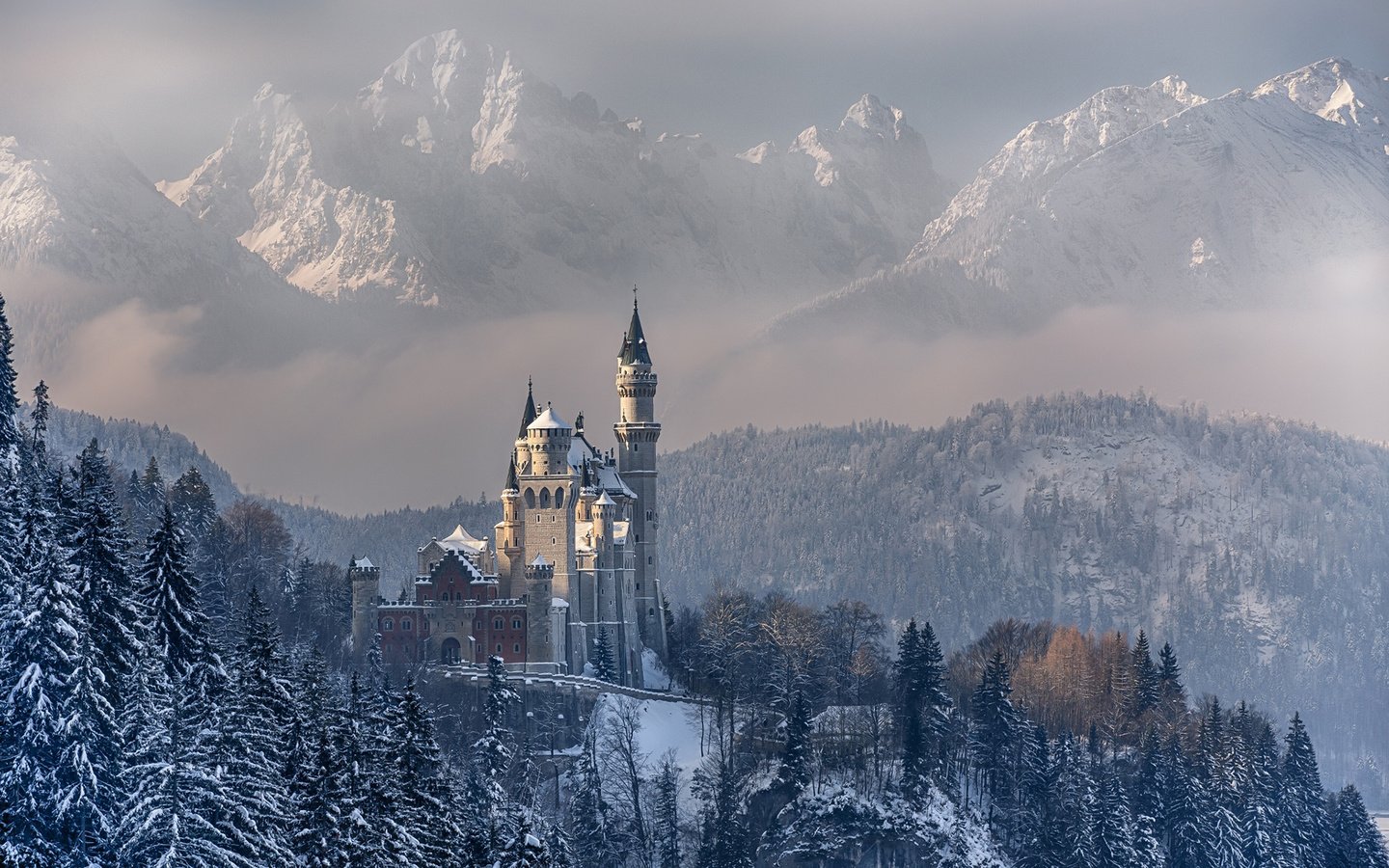 Обои горы, лес, зима, замок, германия, нойшванштайн, бавария, achim thomae, mountains, forest, winter, castle, germany, neuschwanstein, bayern разрешение 1920x1200 Загрузить