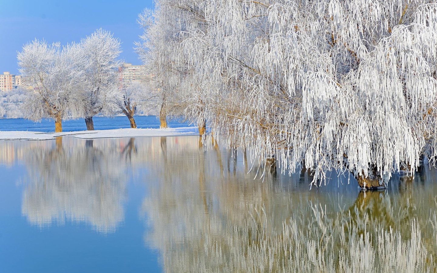 Обои деревья, ordache, озеро, природа, зима, отражение, пейзаж, иней, ивы, trees, lake, nature, winter, reflection, landscape, frost, willow разрешение 1920x1200 Загрузить