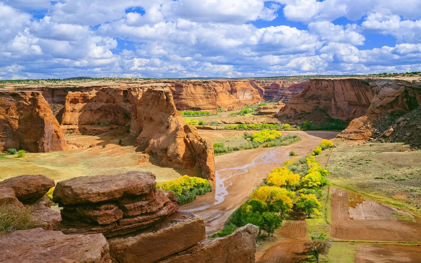 Обои небо, цветы, облака, скалы, пейзаж, каньон, de chelly, the sky, flowers, clouds, rocks, landscape, canyon разрешение 3840x2160 Загрузить