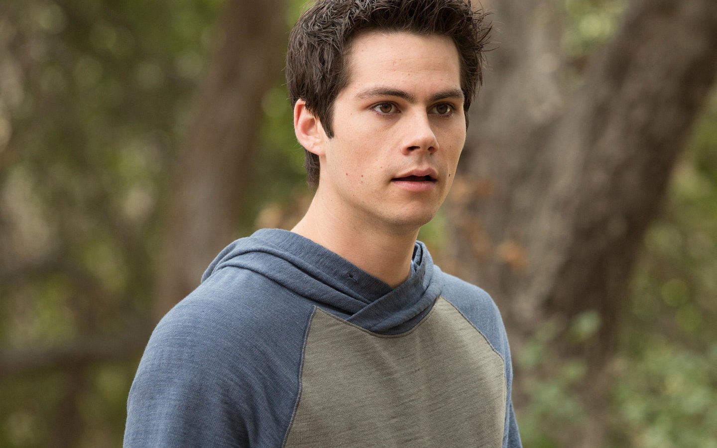 Обои взгляд, актёр, лицо, дилан о’брайен, look, actor, face, dylan o'brien разрешение 2070x1380 Загрузить