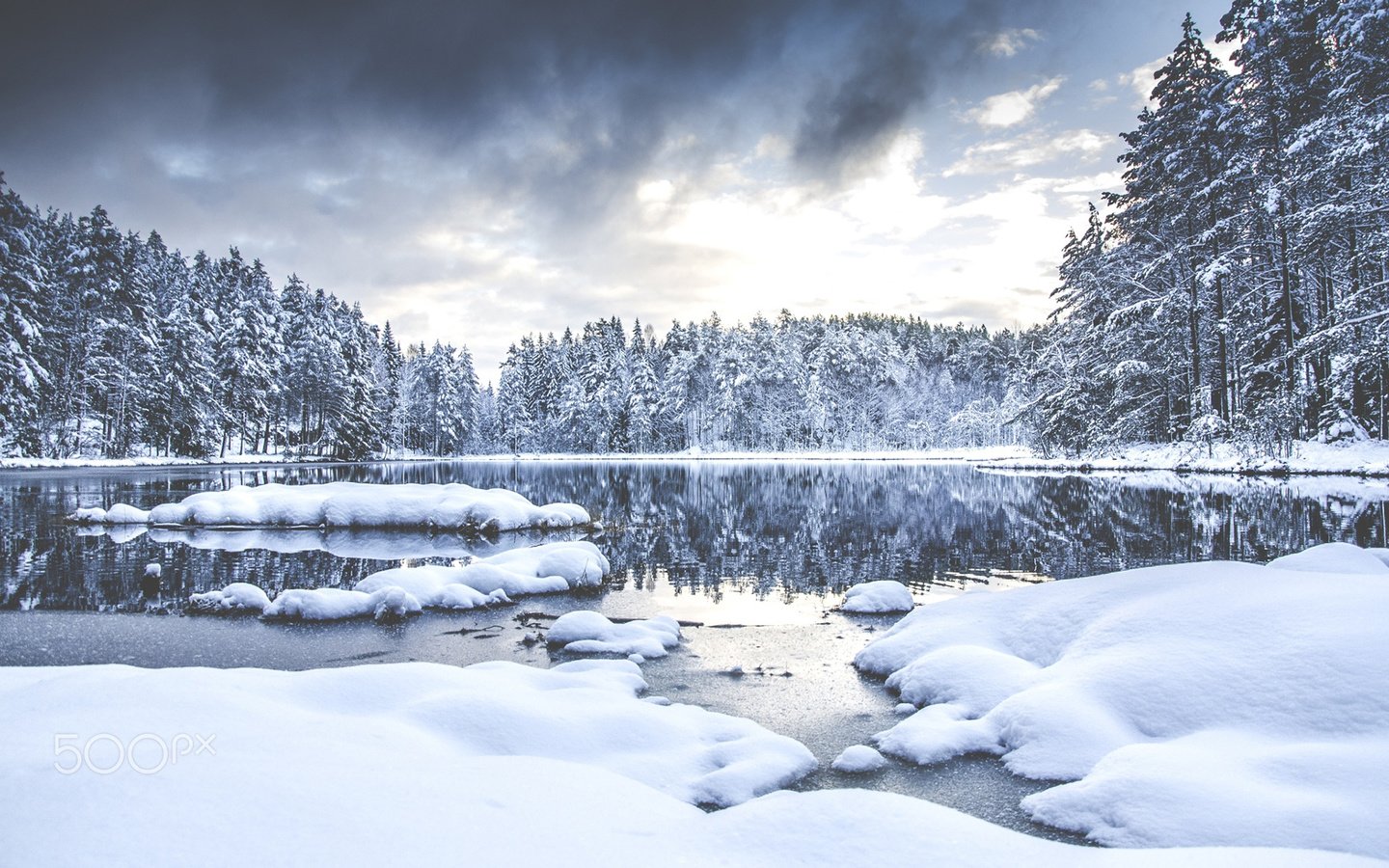 Обои деревья, река, снег, природа, лес, зима, aamarius kaniewskis, trees, river, snow, nature, forest, winter разрешение 1920x1200 Загрузить