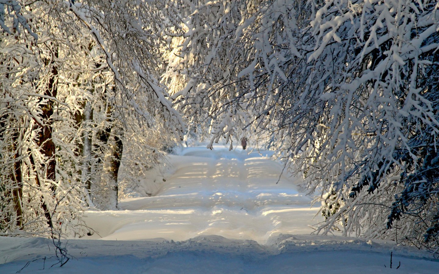 Обои дорога, деревья, снег, природа, лес, зима, ветки, иней, road, trees, snow, nature, forest, winter, branches, frost разрешение 3840x2400 Загрузить