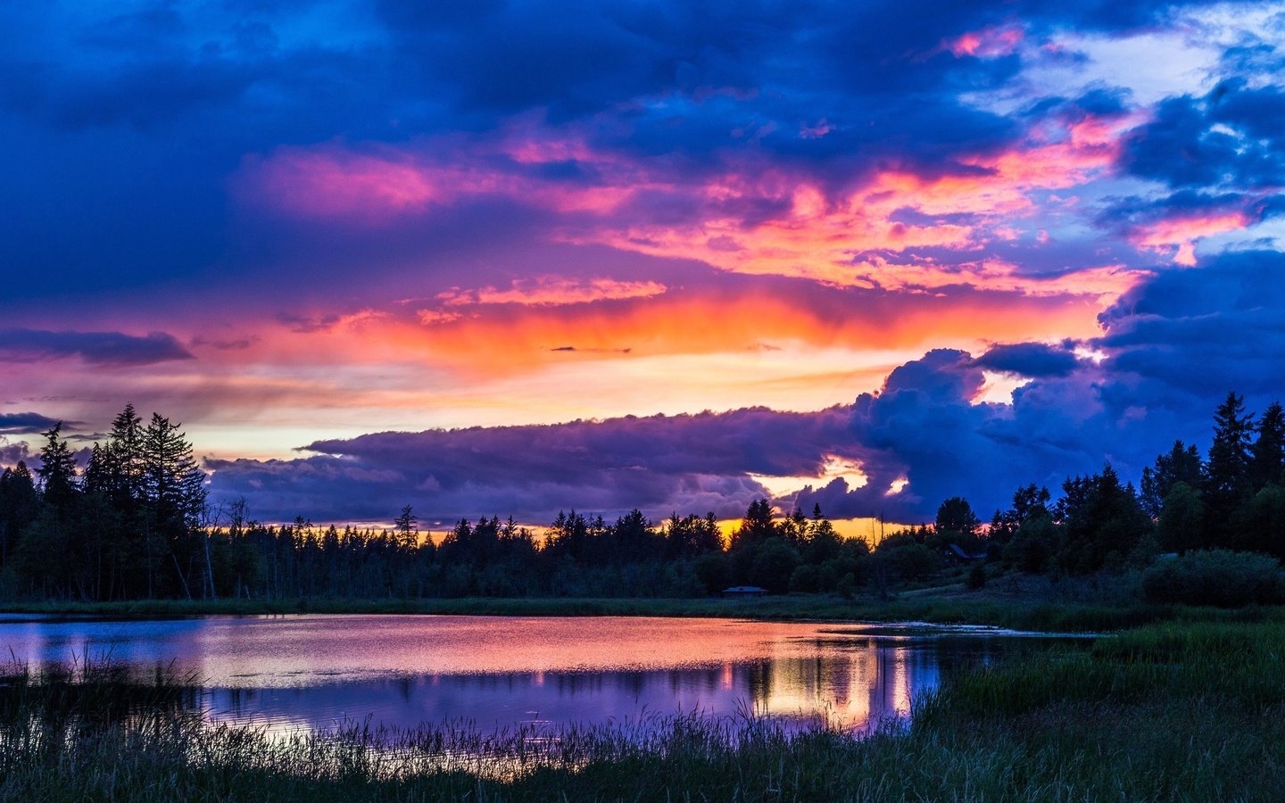 Обои деревья, вечер, озеро, природа, закат, пейзаж, небо облака, trees, the evening, lake, nature, sunset, landscape, sky clouds разрешение 3840x2160 Загрузить