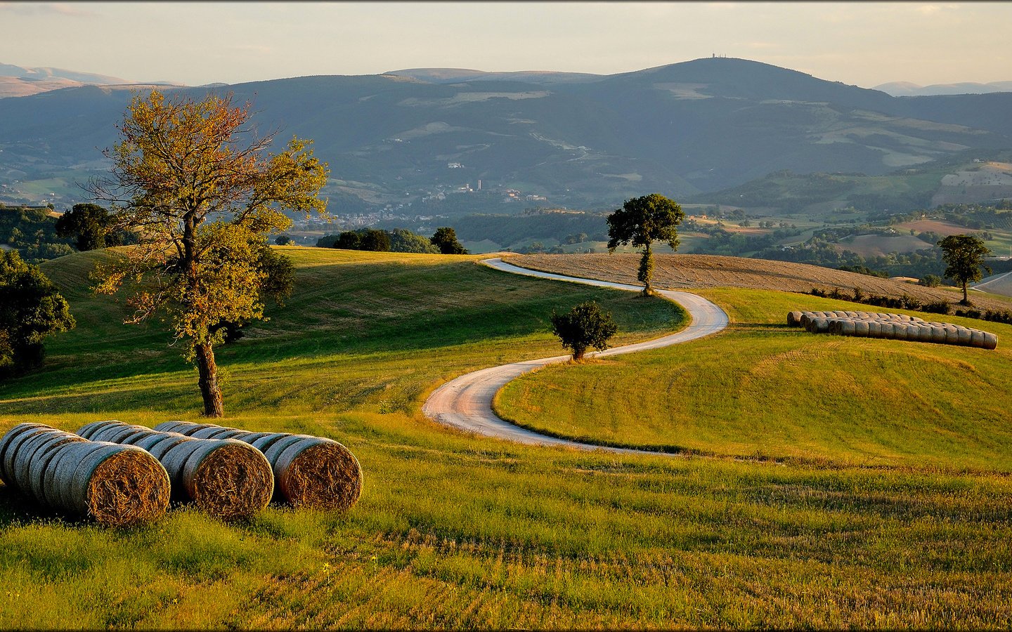 Обои дорога, трава, деревья, холмы, поле, сено, италиа, road, grass, trees, hills, field, hay, italia разрешение 2048x1152 Загрузить