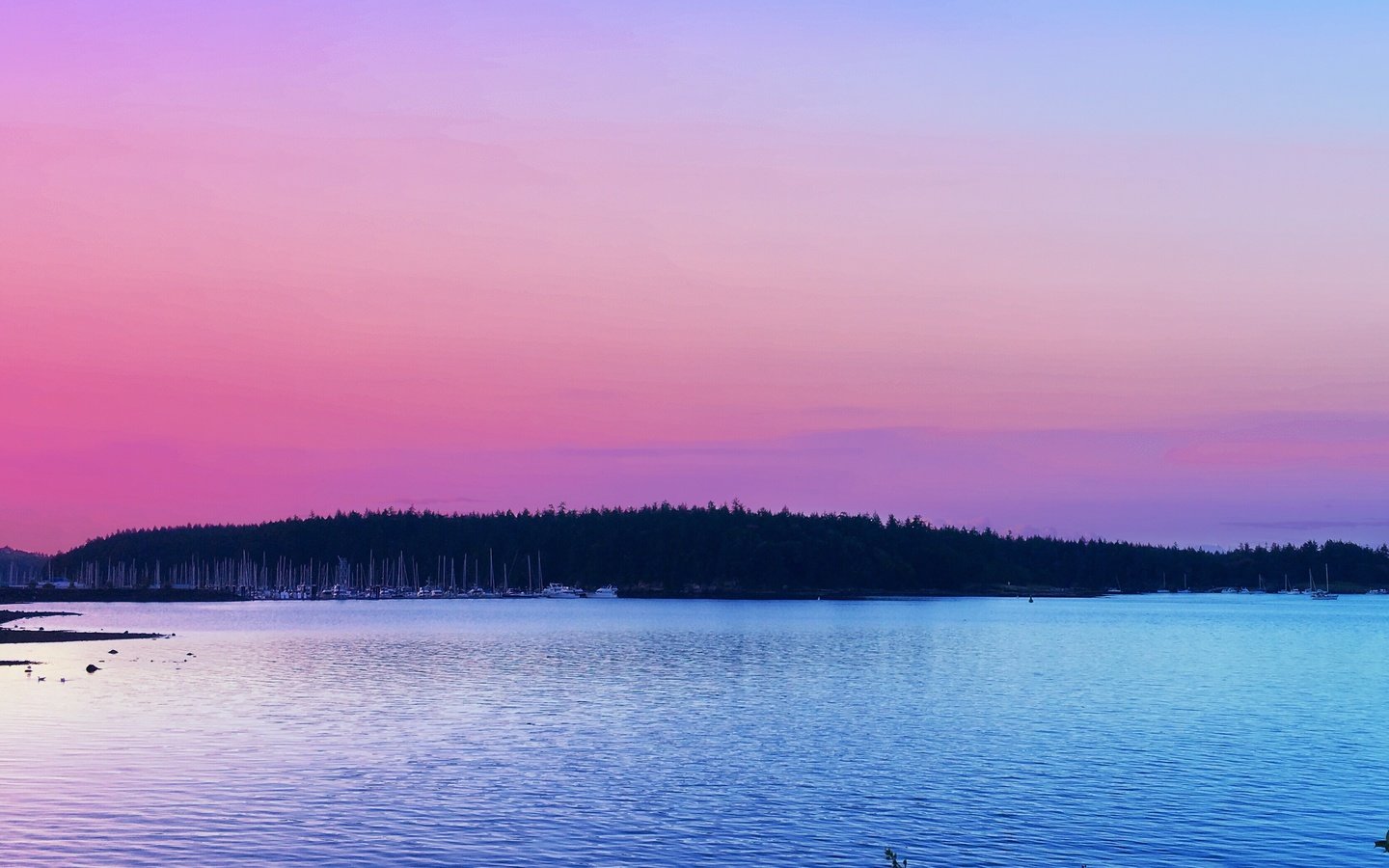 Обои деревья, озеро, закат, горизонт, trees, lake, sunset, horizon разрешение 3342x2675 Загрузить