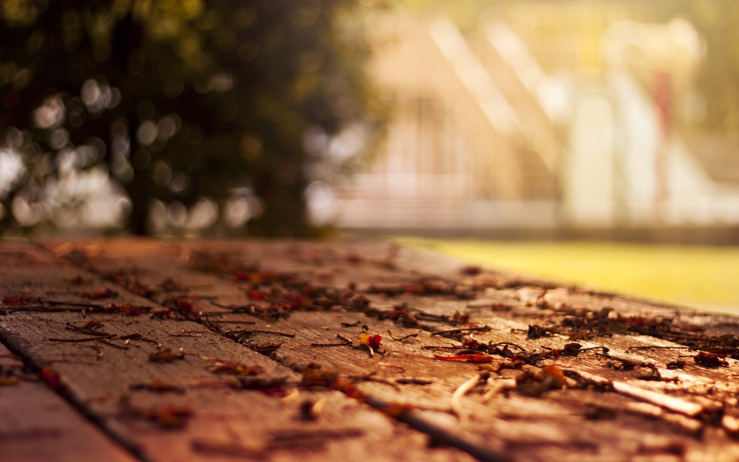 Обои дерево, листья, макро, осень, листопад, боке, tree, leaves, macro, autumn, falling leaves, bokeh разрешение 1920x1200 Загрузить