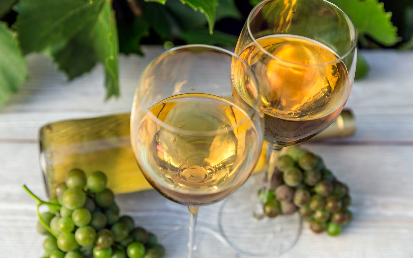 Обои листья, виноград, вино, бутылка, бокалы, leaves, grapes, wine, bottle, glasses разрешение 4500x3000 Загрузить