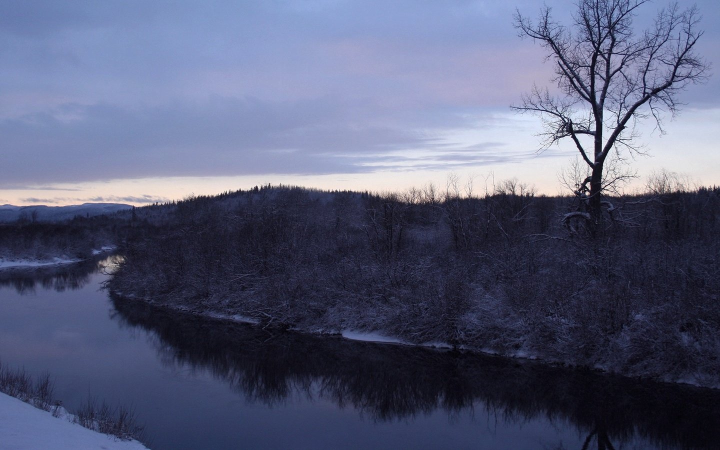 Обои деревья, река, снег, зима, trees, river, snow, winter разрешение 1920x1080 Загрузить