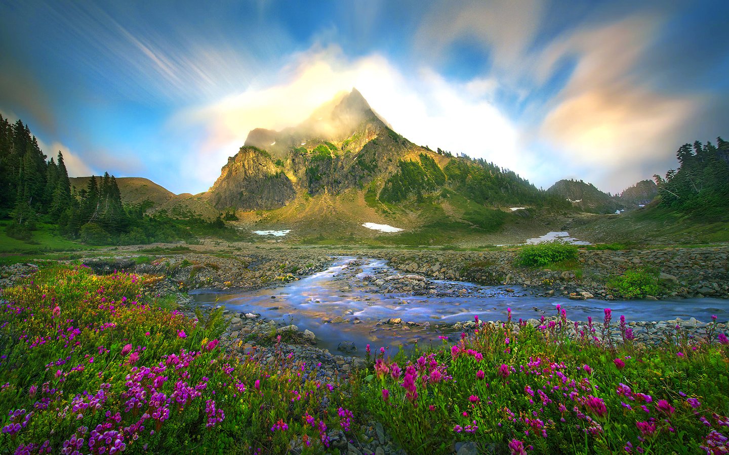 Обои цветы, ручей, гора, flowers, stream, mountain разрешение 1920x1312 Загрузить