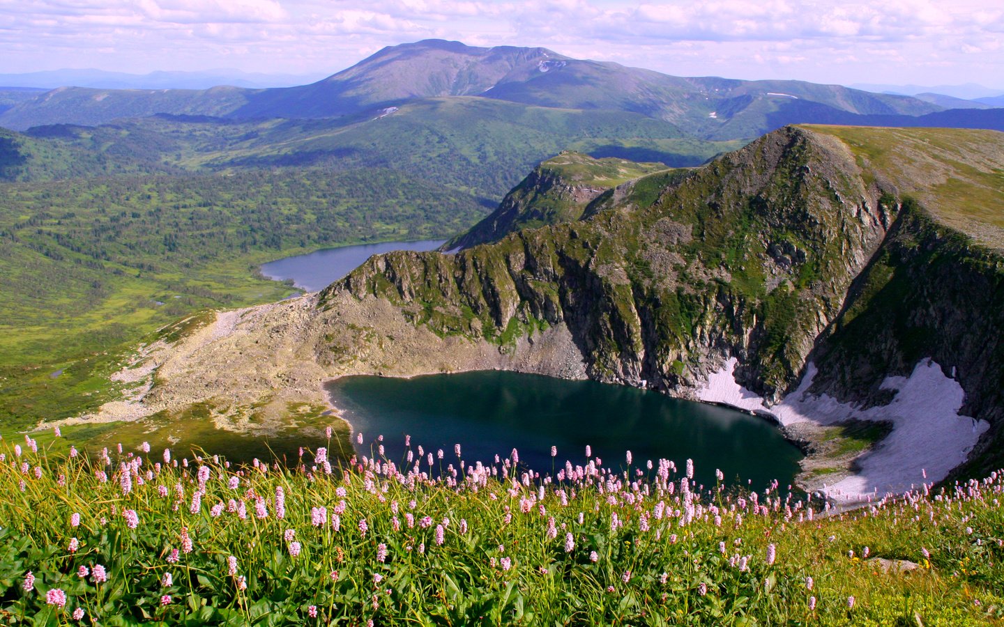 Обои цветы, озеро, горы, flowers, lake, mountains разрешение 1929x1240 Загрузить