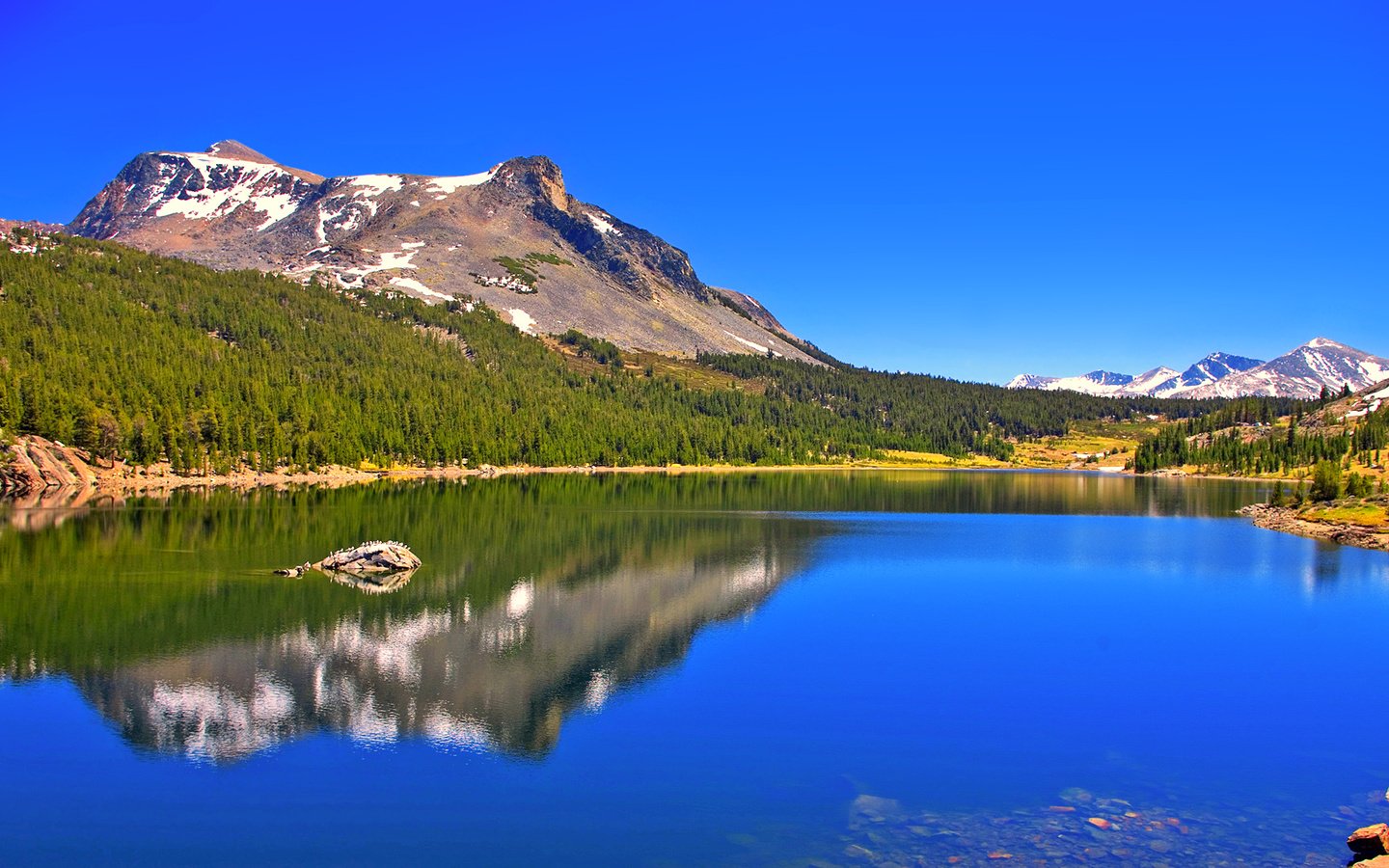 Обои озеро, горы, лес, lake, mountains, forest разрешение 1920x1080 Загрузить