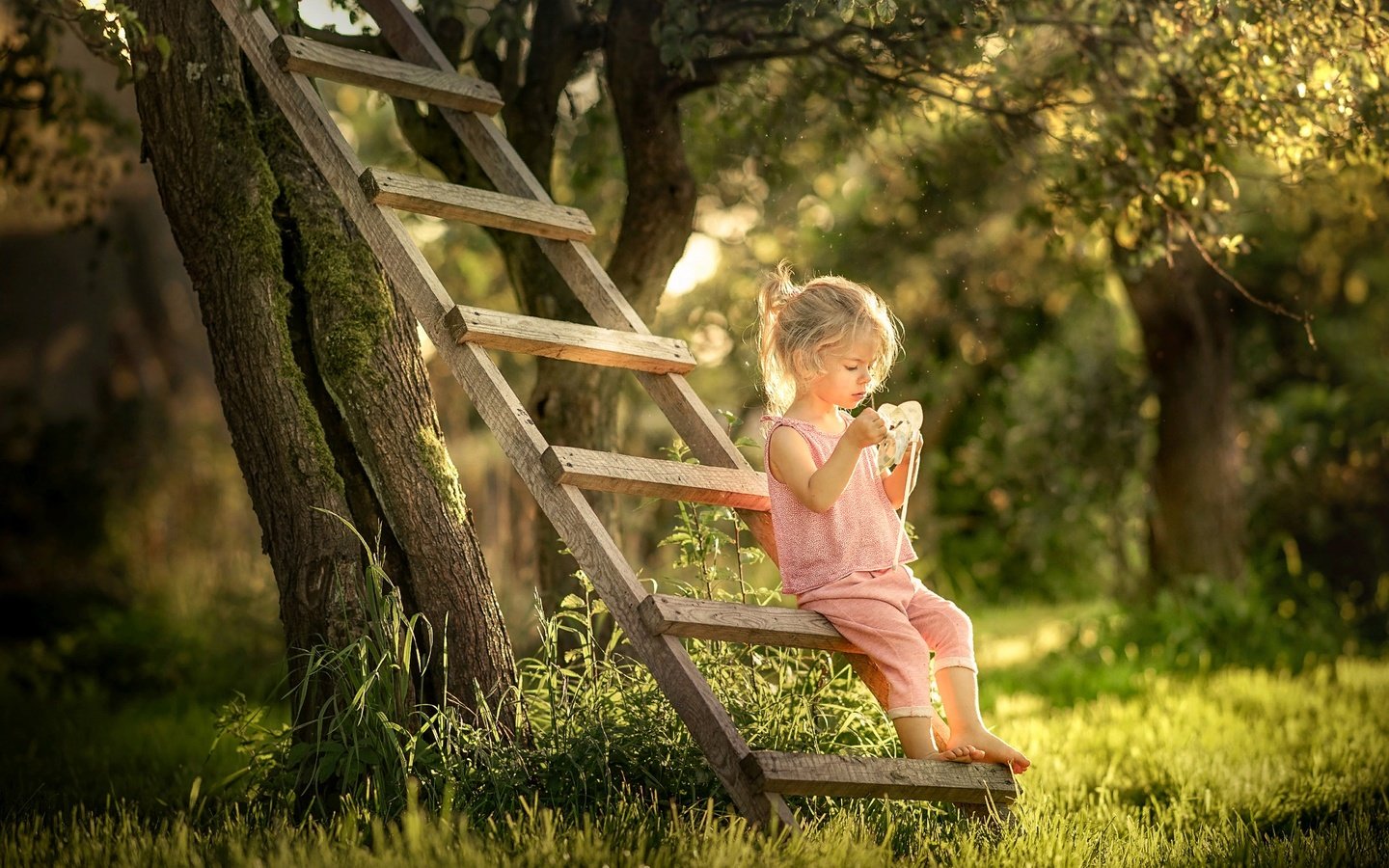 Обои деревья, малышка, природа, лестница, парк, лето, сад, девочка, боке, trees, baby, nature, ladder, park, summer, garden, girl, bokeh разрешение 2048x1326 Загрузить