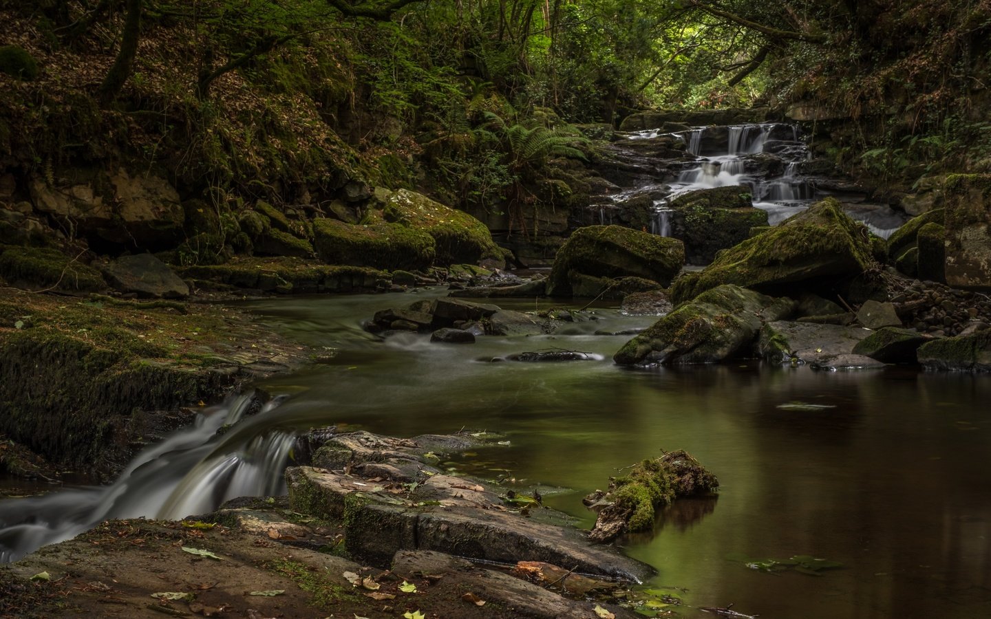 Обои река, природа, камни, водопад, мох, river, nature, stones, waterfall, moss разрешение 3600x2288 Загрузить