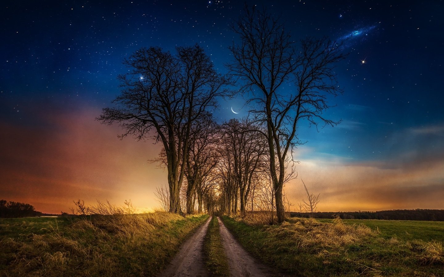 Обои дорога, трава, ночь, деревья, звезды, луна, road, grass, night, trees, stars, the moon разрешение 2048x1346 Загрузить