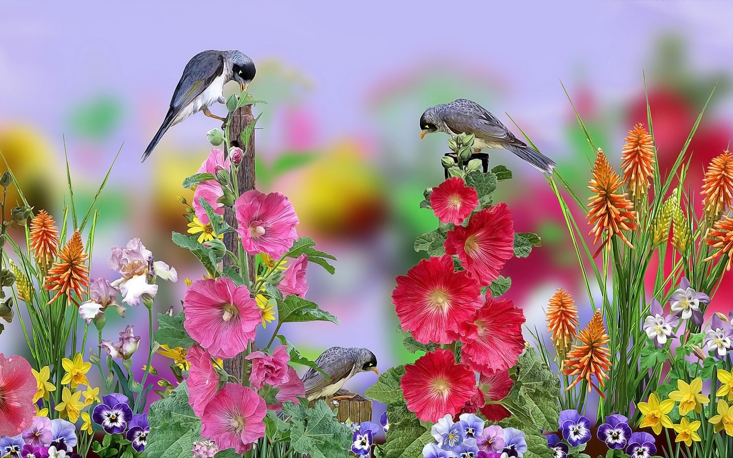 Обои цветы, графика, птички, flowers, graphics, birds разрешение 1920x1080 Загрузить