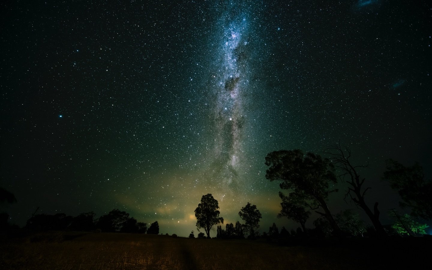 Обои деревья, космос, звездное небо, млечный путь, trees, space, starry sky, the milky way разрешение 2560x1600 Загрузить