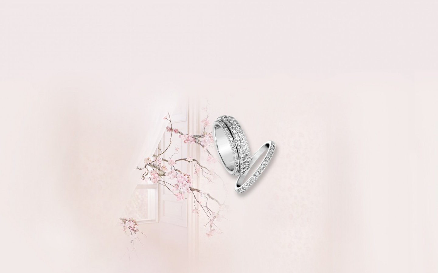 Обои розовый, нежность, кольца, свадьба, pink, tenderness, ring, wedding разрешение 1920x1080 Загрузить