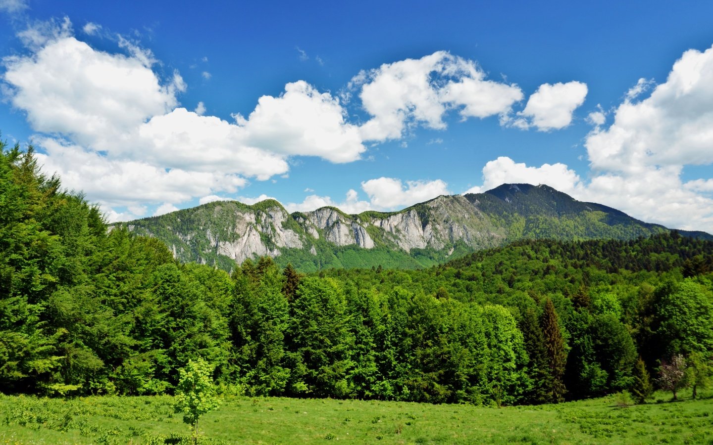 Обои небо, облака, горы, природа, лес, the sky, clouds, mountains, nature, forest разрешение 6000x3376 Загрузить