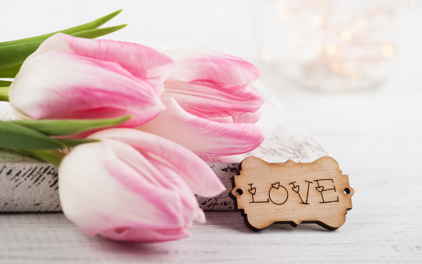 Обои цветы, надпись, любовь, тюльпаны, розовые, irina bort, flowers, the inscription, love, tulips, pink разрешение 4256x2832 Загрузить