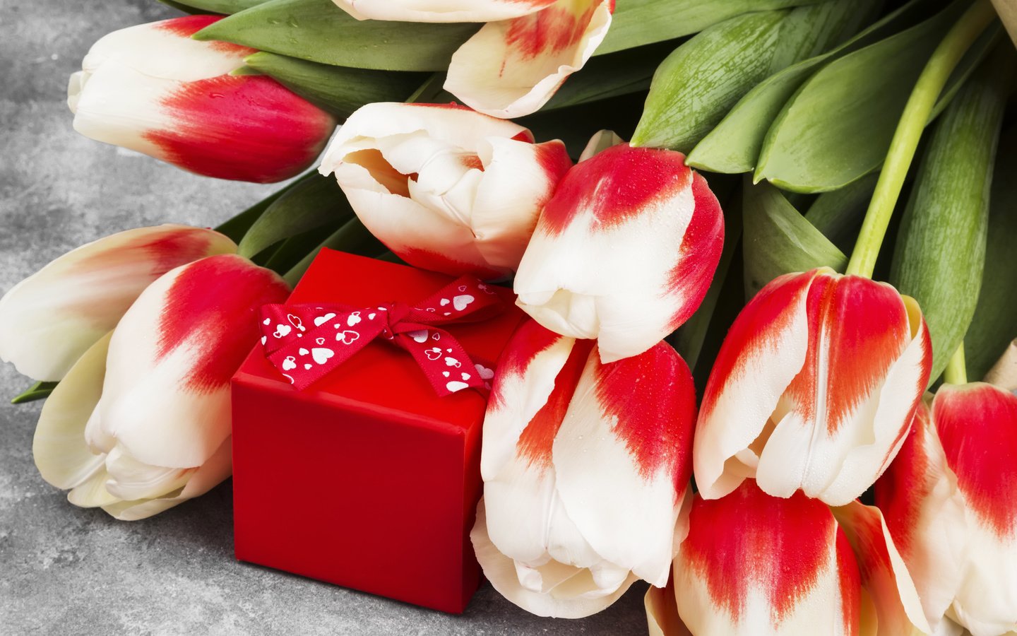 Обои цветы, букет, тюльпаны, подарок, 8 марта, flowers, bouquet, tulips, gift, march 8 разрешение 5091x3394 Загрузить
