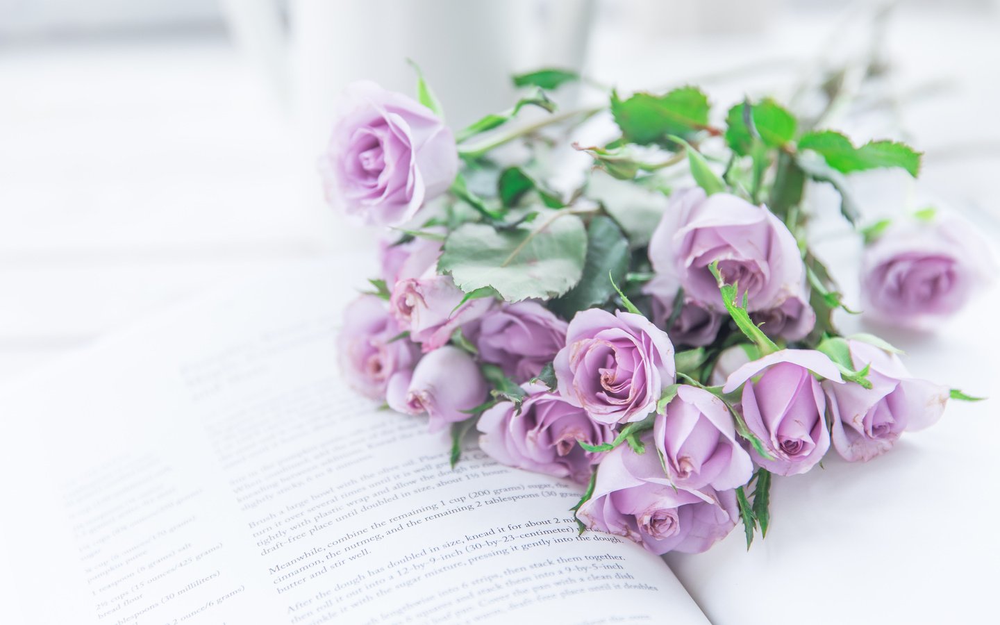 Обои цветы, розы, букет, книга, фиолетовые, flowers, roses, bouquet, book, purple разрешение 5000x3333 Загрузить