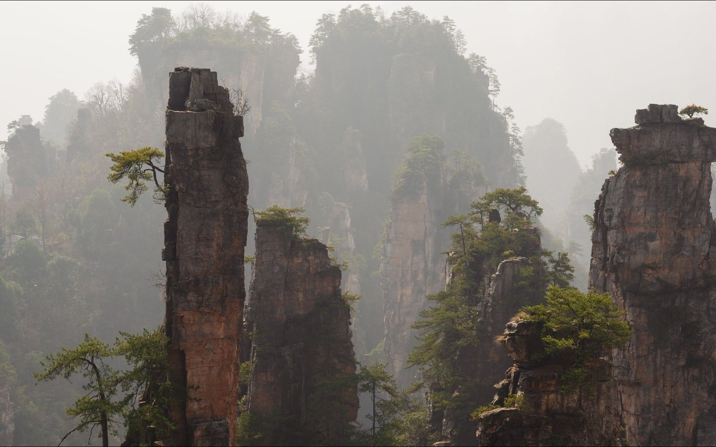 Обои горы, скалы, туман, китай, zhangjiajie national park, mountains, rocks, fog, china разрешение 1920x1080 Загрузить